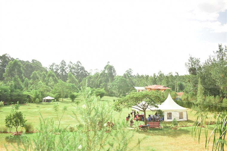 THE AMAZING SLIDESHOW ADDON!